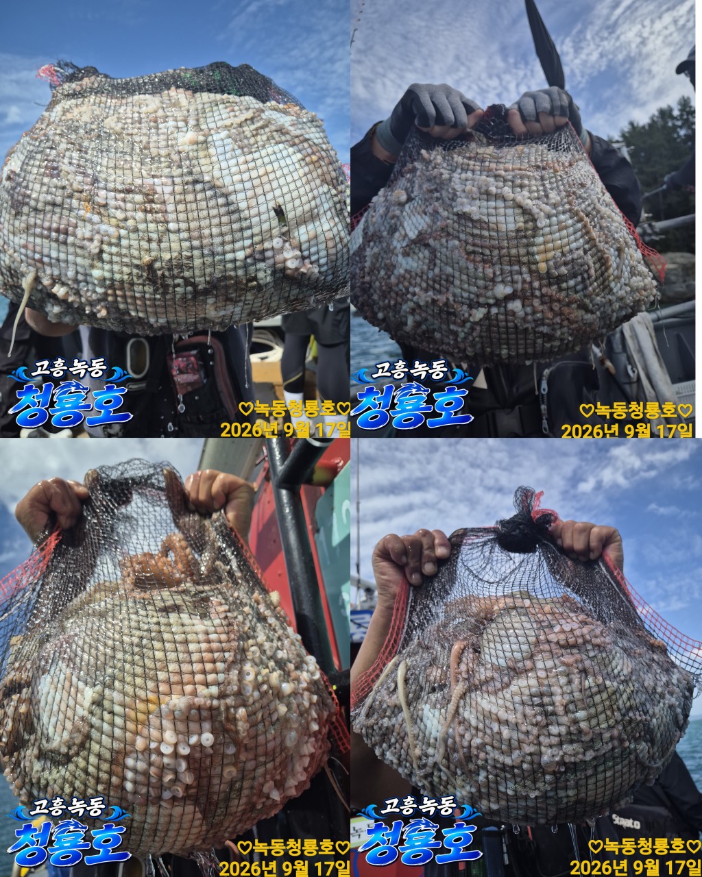 9월 17일 문어 선상낚시 조황 현장 사진 2