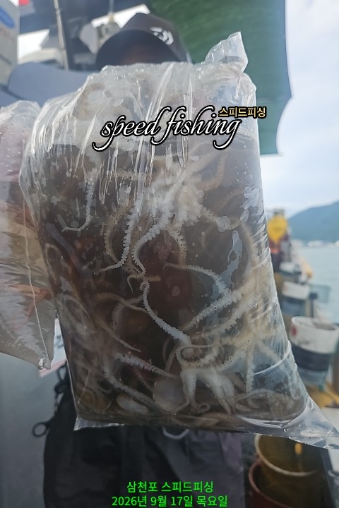 9월 17일 삼천포 주꾸미 선상낚시 조황 현장 사진 4