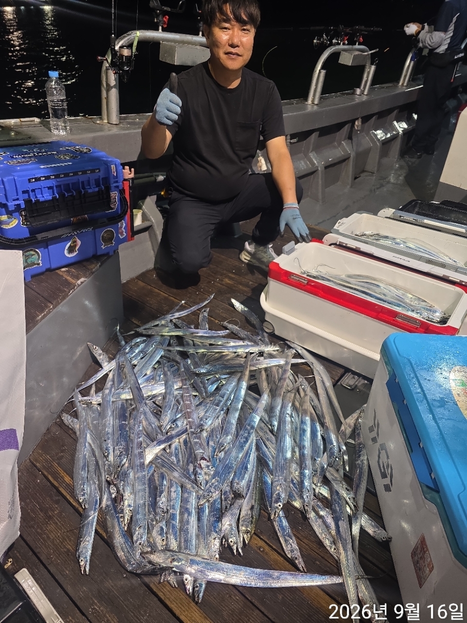 9월 15일 남해 무늬오징어 선상낚시 조황 현장 사진 6