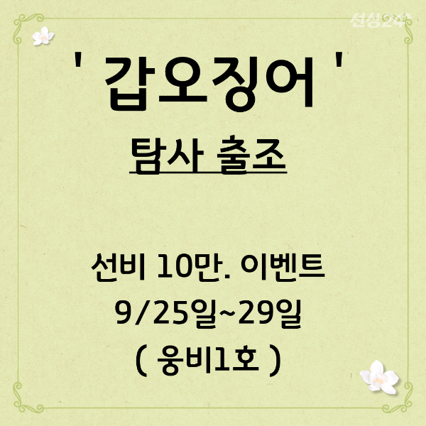 9월 17일 군산 갑오징어 선상낚시 조황 현장 사진 11