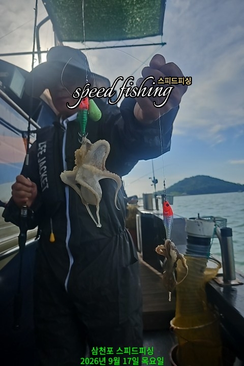 9월 17일 삼천포 주꾸미 선상낚시 조황 현장 사진 2