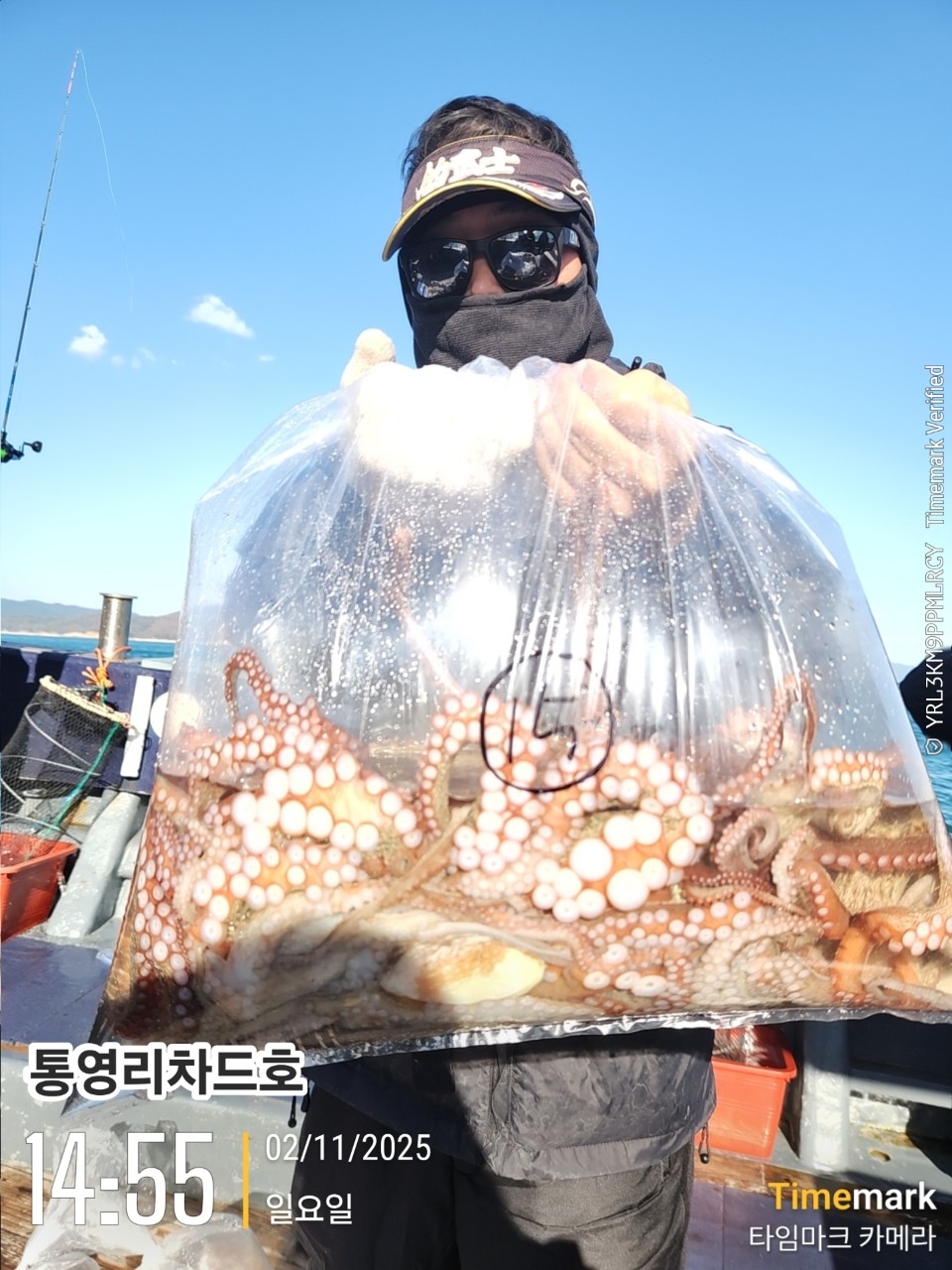 9월 17일 통영 문어 선상낚시 조황 현장 사진 10