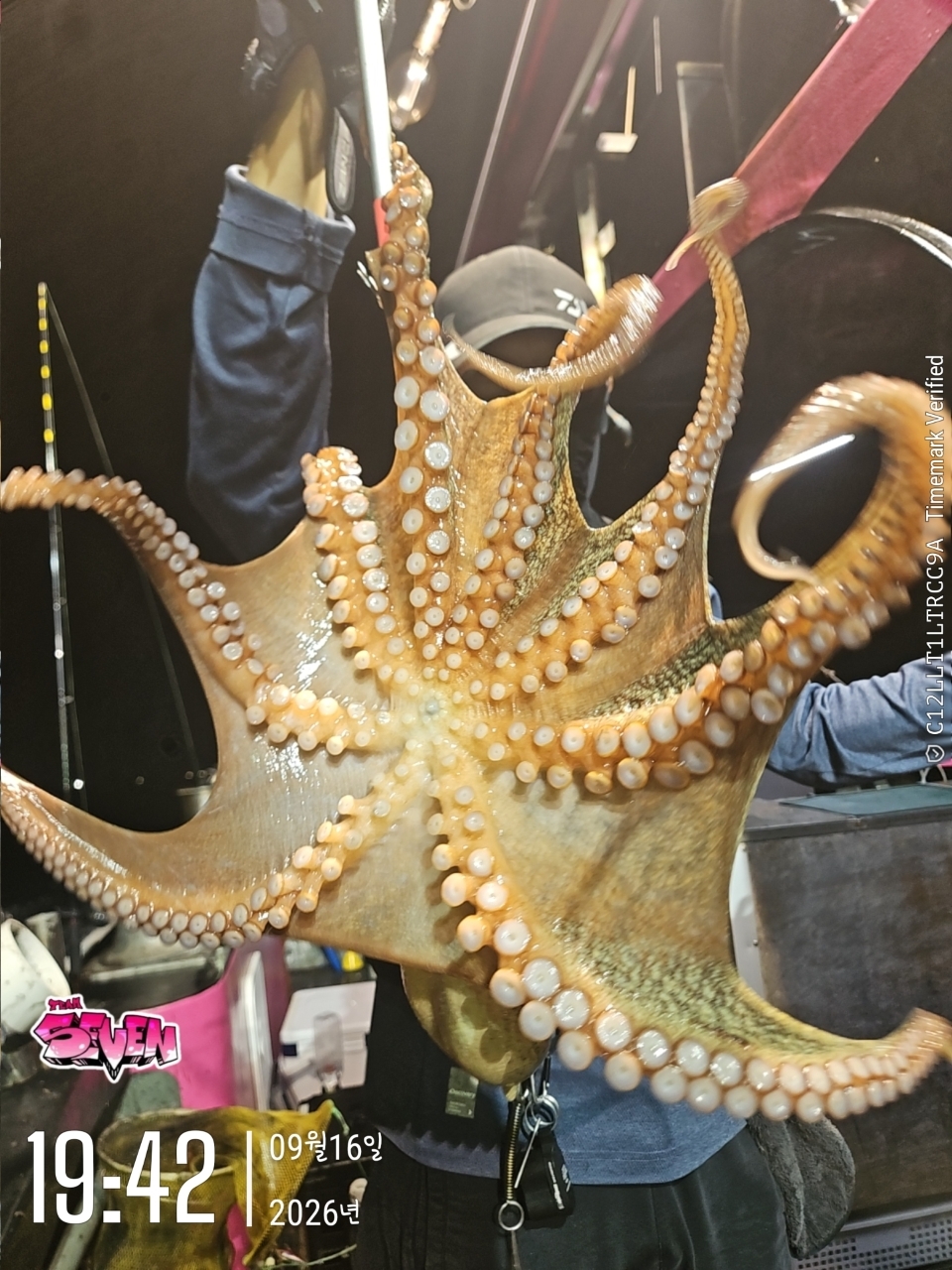 9월 17일 군산 갑오징어 선상낚시 조황 현장 사진 2