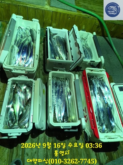 9월 17일 남해 갈치 선상낚시 조황 현장 사진 8
