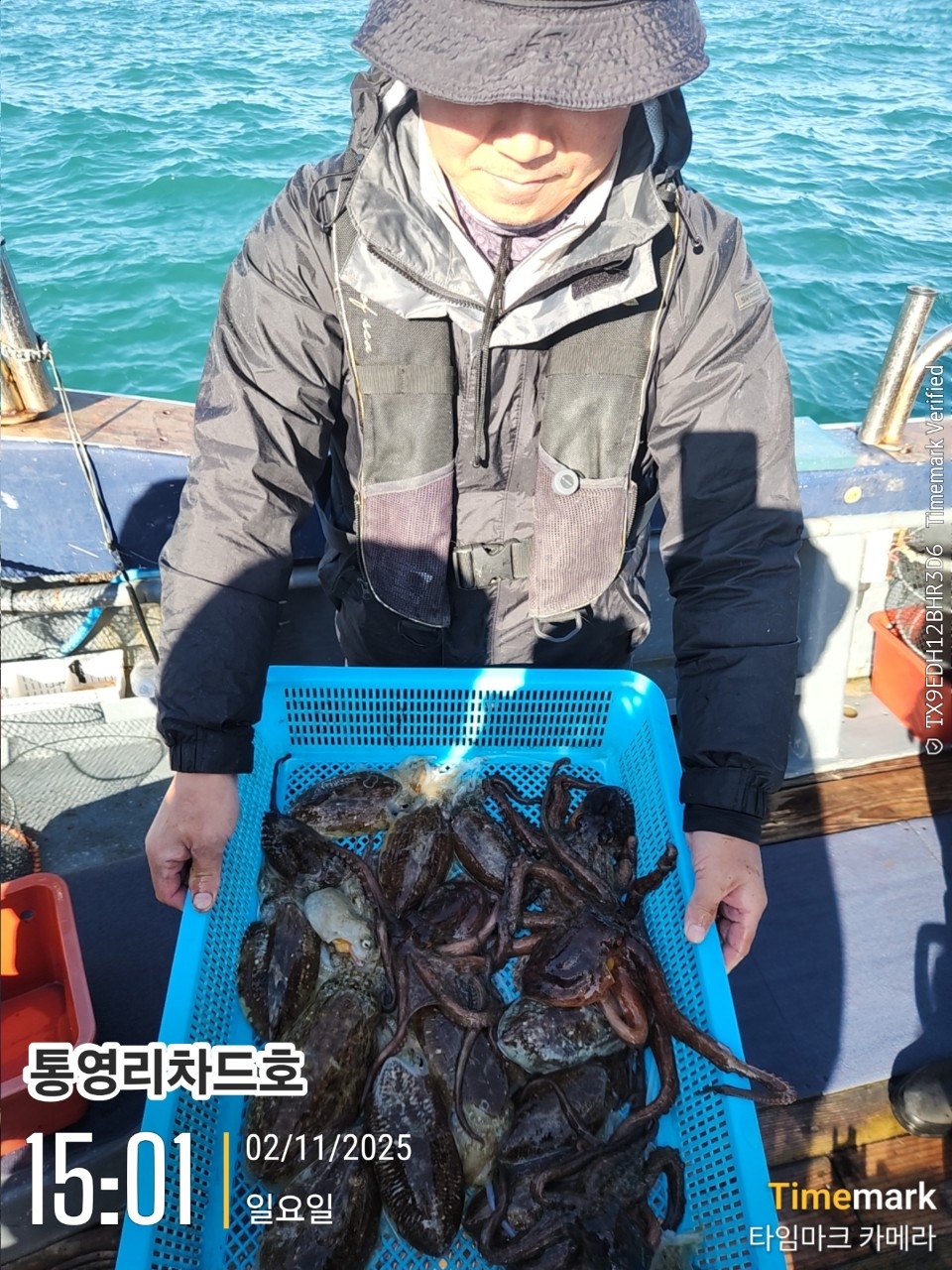9월 17일 통영 문어 선상낚시 조황 현장 사진 2