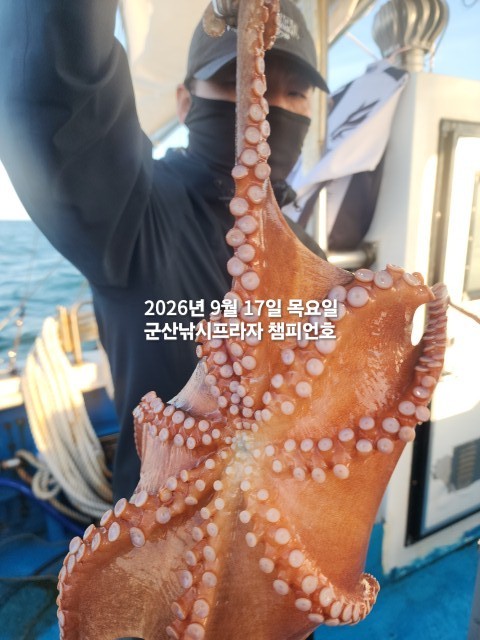 9월 17일 문어 선상낚시 조황 현장 사진 4