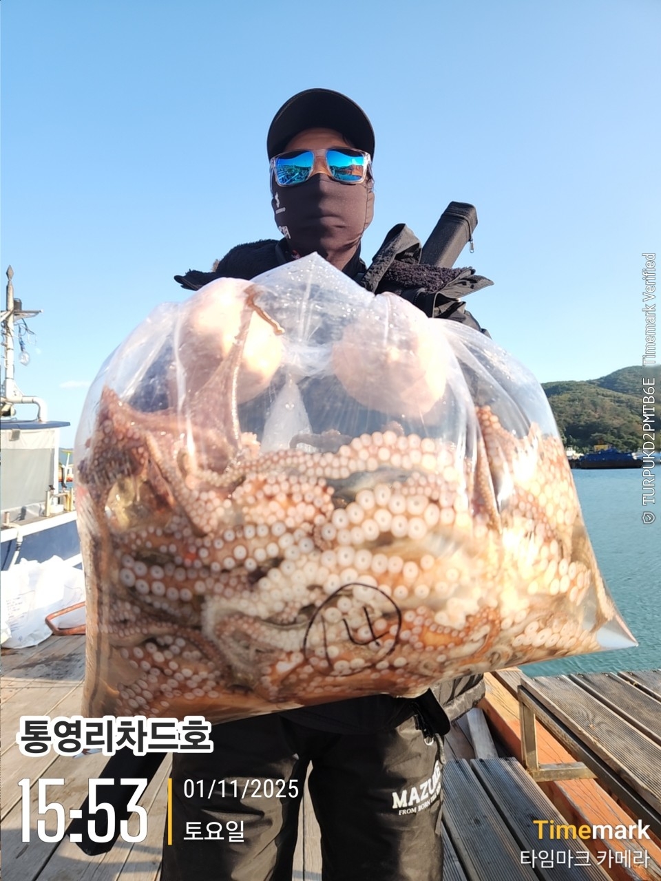 9월 17일 통영 문어 선상낚시 조황 현장 사진 18