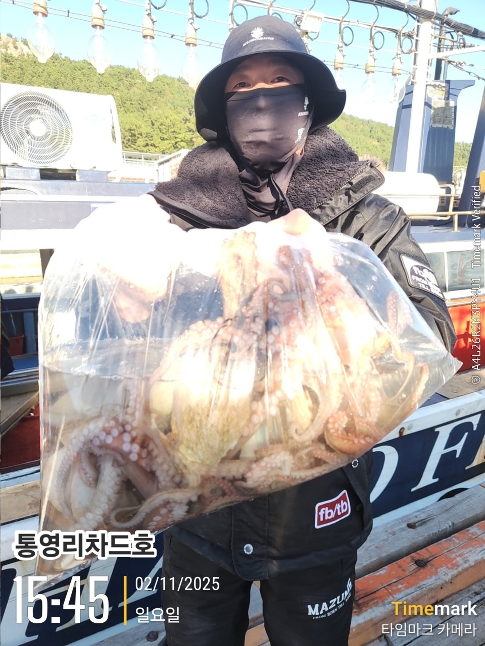 9월 17일 통영 문어 선상낚시 조황 현장 사진 8