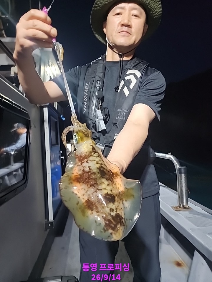 9월 17일 통영 무늬오징어 선상낚시 조황 현장 사진 8
