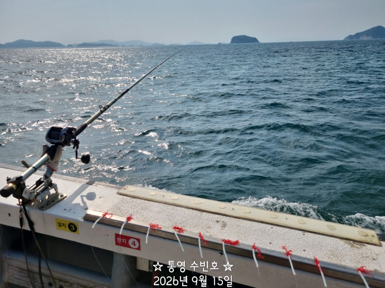 9월 17일 무늬오징어 선상낚시 조황 현장 사진 2