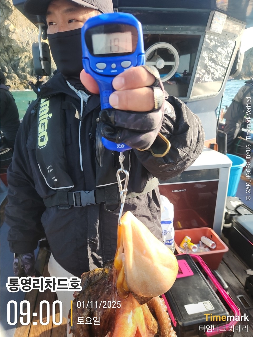 9월 17일 통영 문어 선상낚시 조황 현장 사진 13