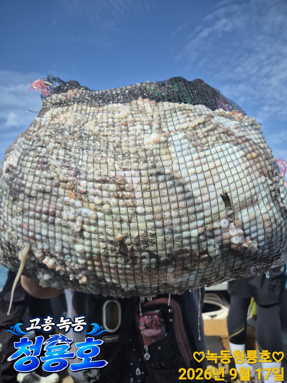 9월 17일 문어 선상낚시 조황 현장 사진 6