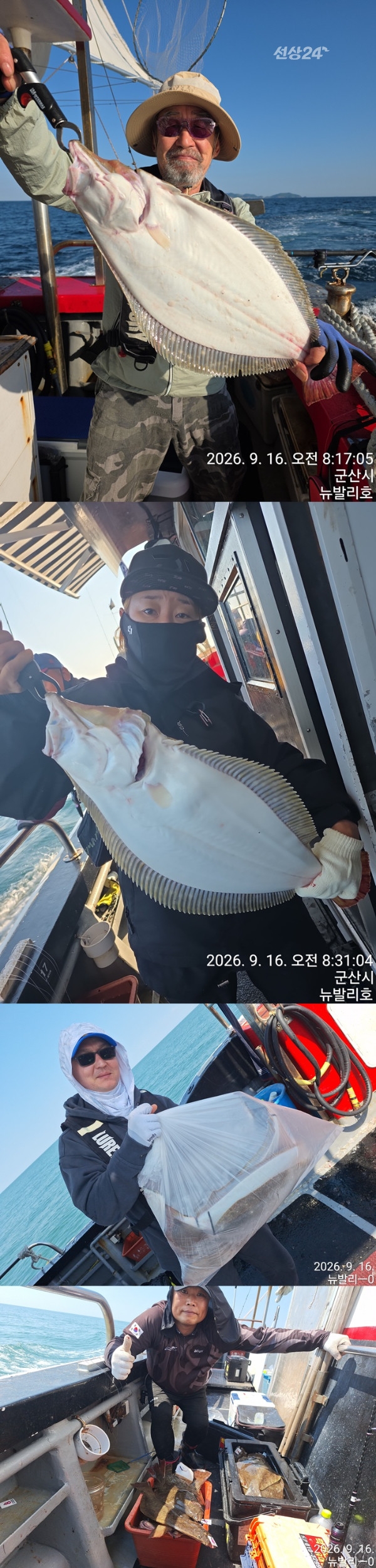 9월 17일 군산 갑오징어 선상낚시 조황 현장 사진 6