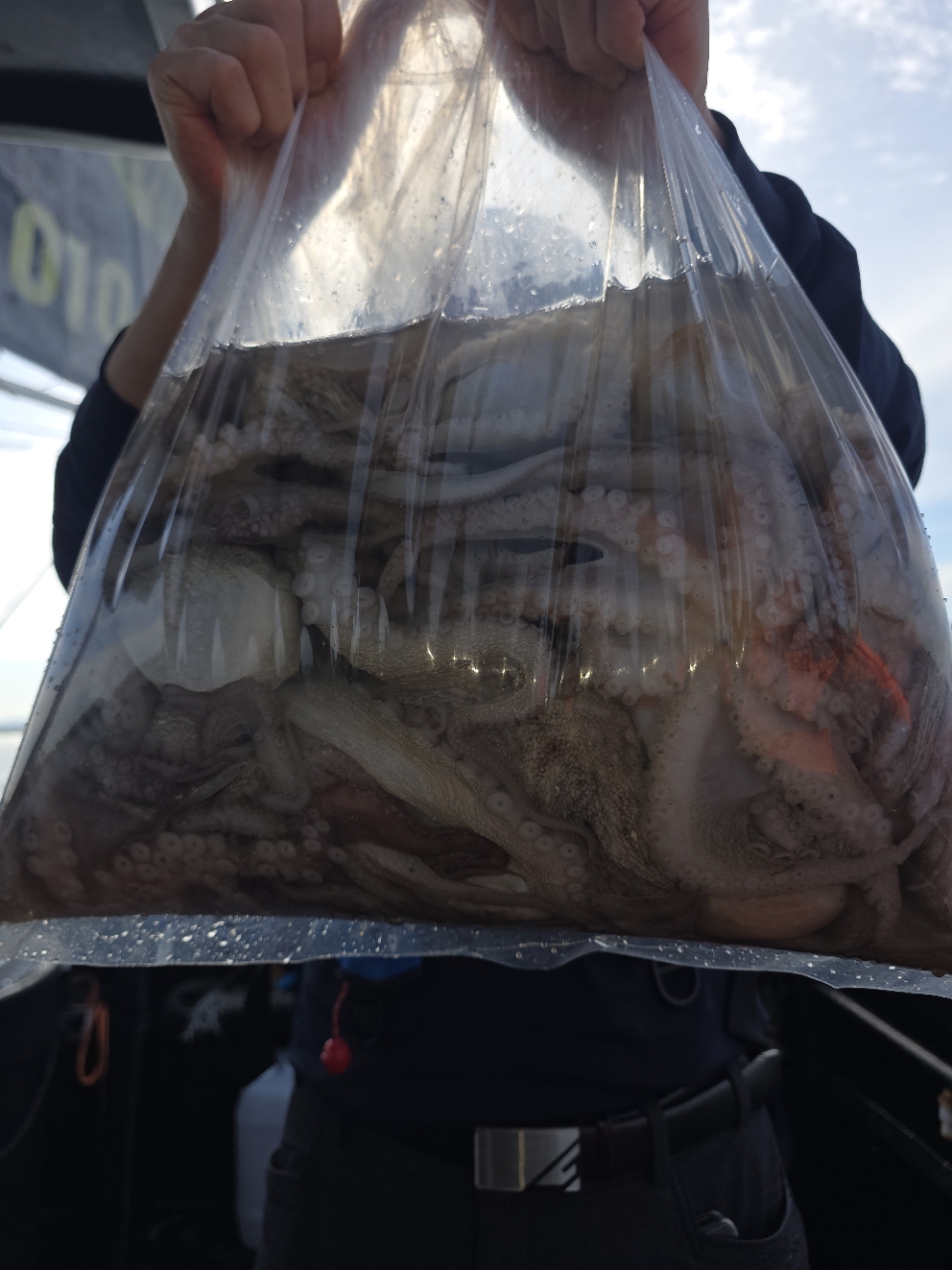 9월 17일 고흥 문어 선상낚시 조황 현장 사진 6
