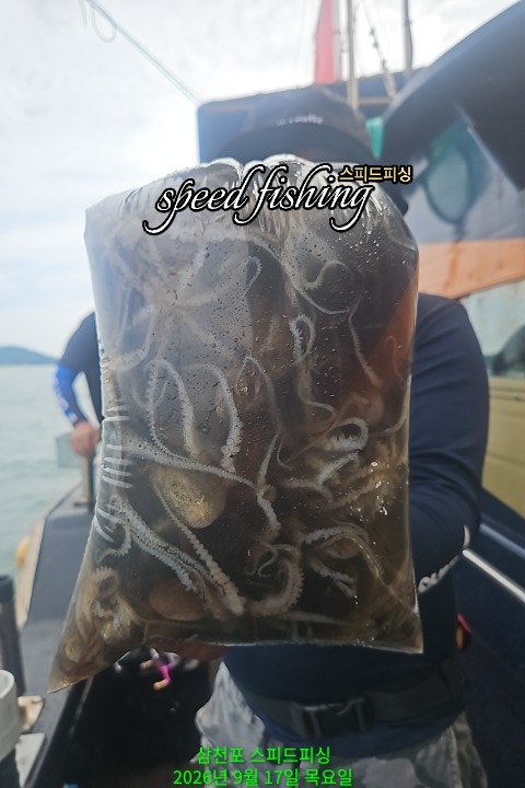 9월 17일 삼천포 주꾸미 선상낚시 조황 현장 사진 5