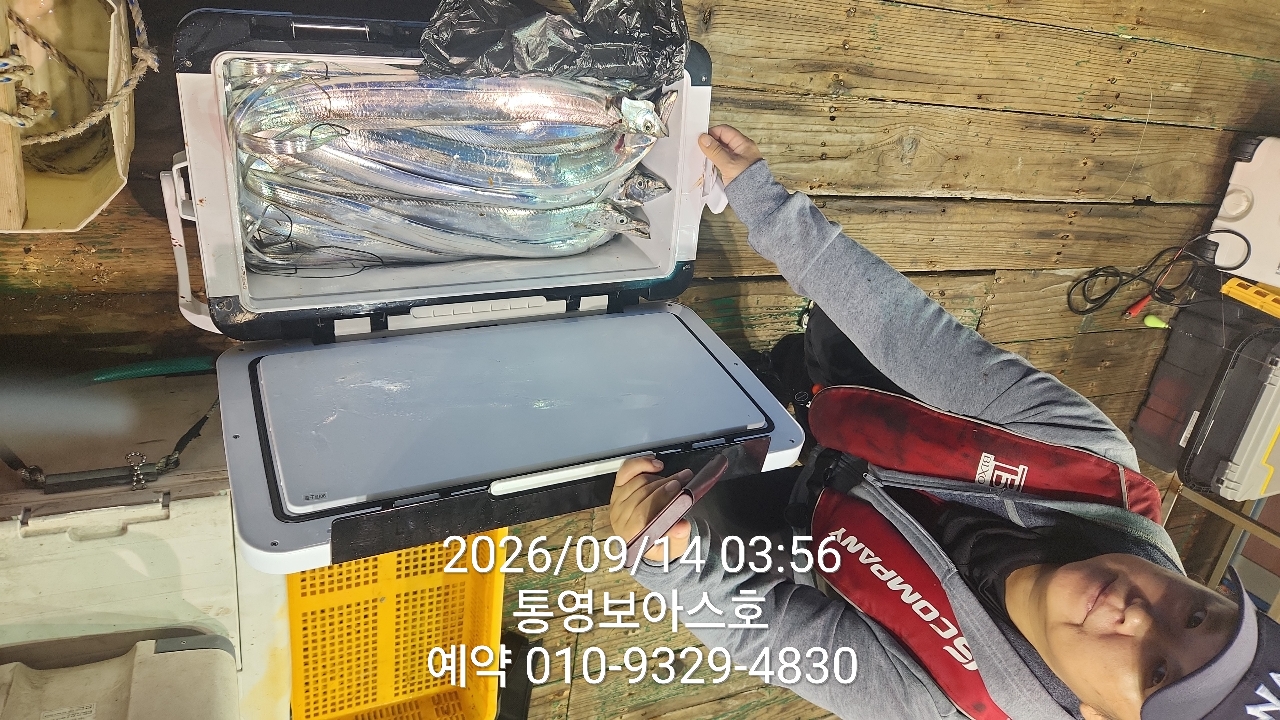 9월 17일 통영 문어 선상낚시 조황 현장 사진 4
