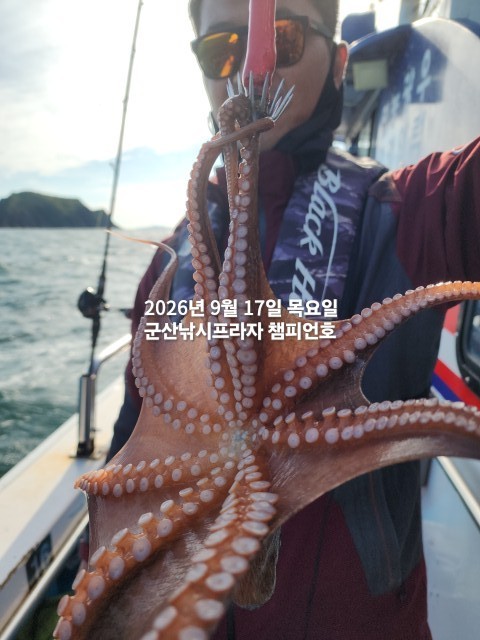 9월 17일 문어 선상낚시 조황 현장 사진 3