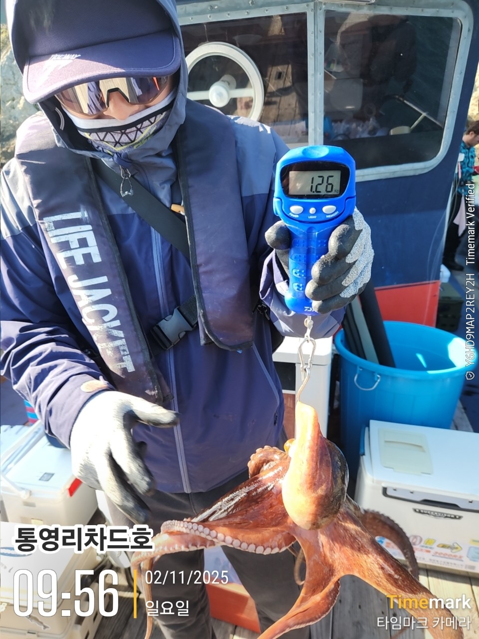 9월 17일 통영 문어 선상낚시 조황 현장 사진 3