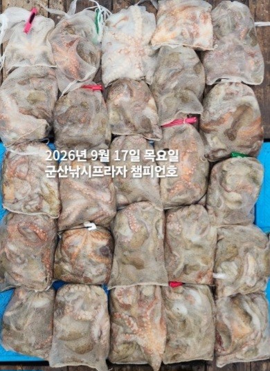 9월 17일 문어 선상낚시 조황 현장 사진 1