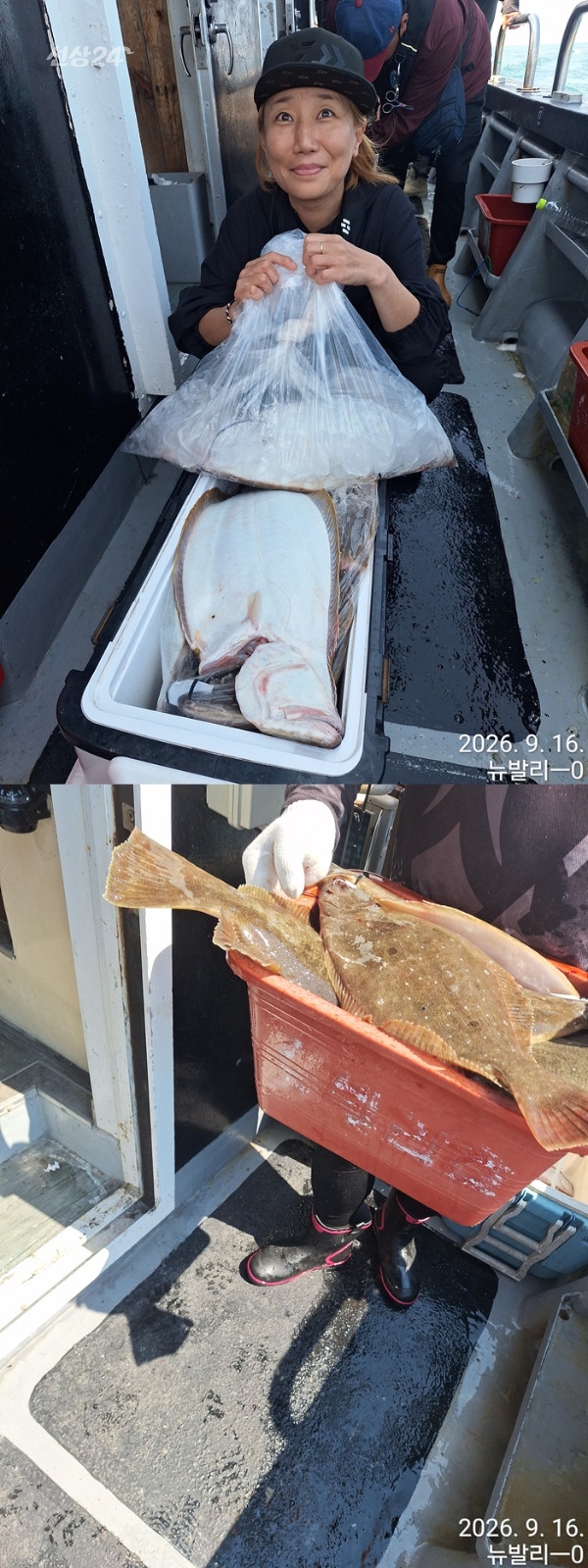 9월 17일 군산 갑오징어 선상낚시 조황 현장 사진 8