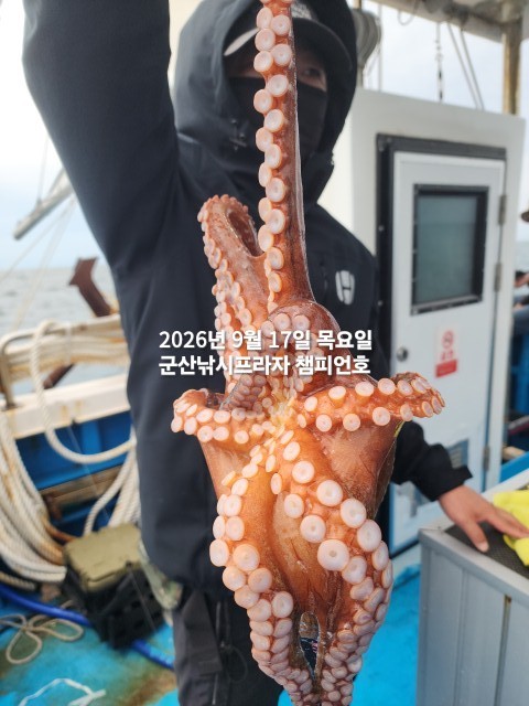 9월 17일 문어 선상낚시 조황 현장 사진 7