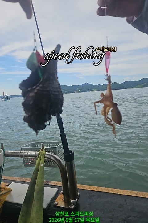 9월 17일 삼천포 주꾸미 선상낚시 조황 현장 사진 1