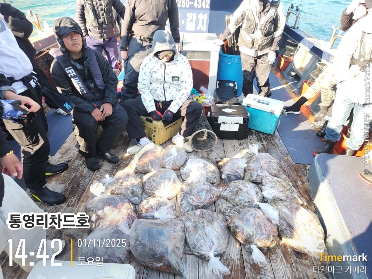 9월 17일 통영 문어 선상낚시 조황 현장 사진 11
