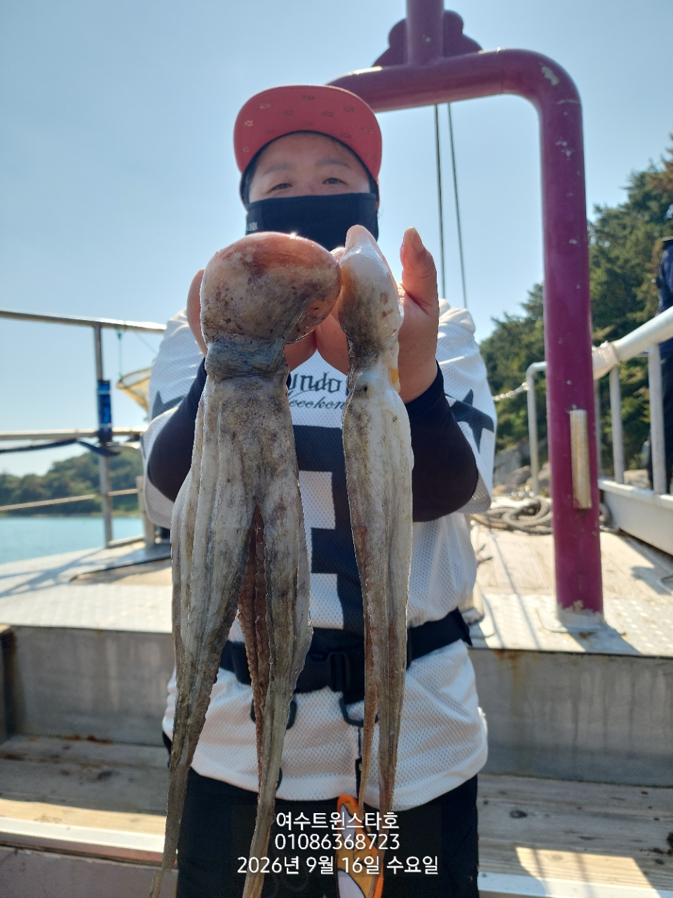 9월 17일 여수 문어 선상낚시 조황 현장 사진 13