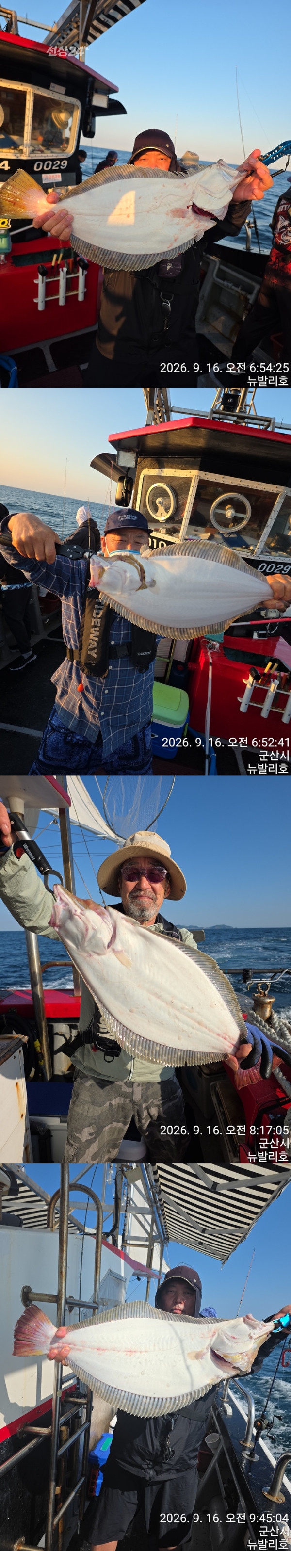 9월 17일 군산 갑오징어 선상낚시 조황 현장 사진 5