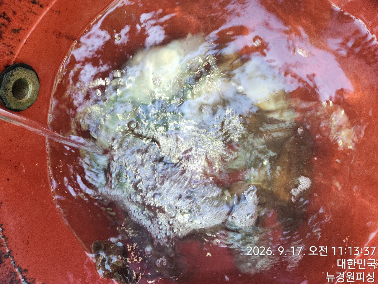 9월 17일 삼천포 갑오징어 선상낚시 조황 현장 사진 3