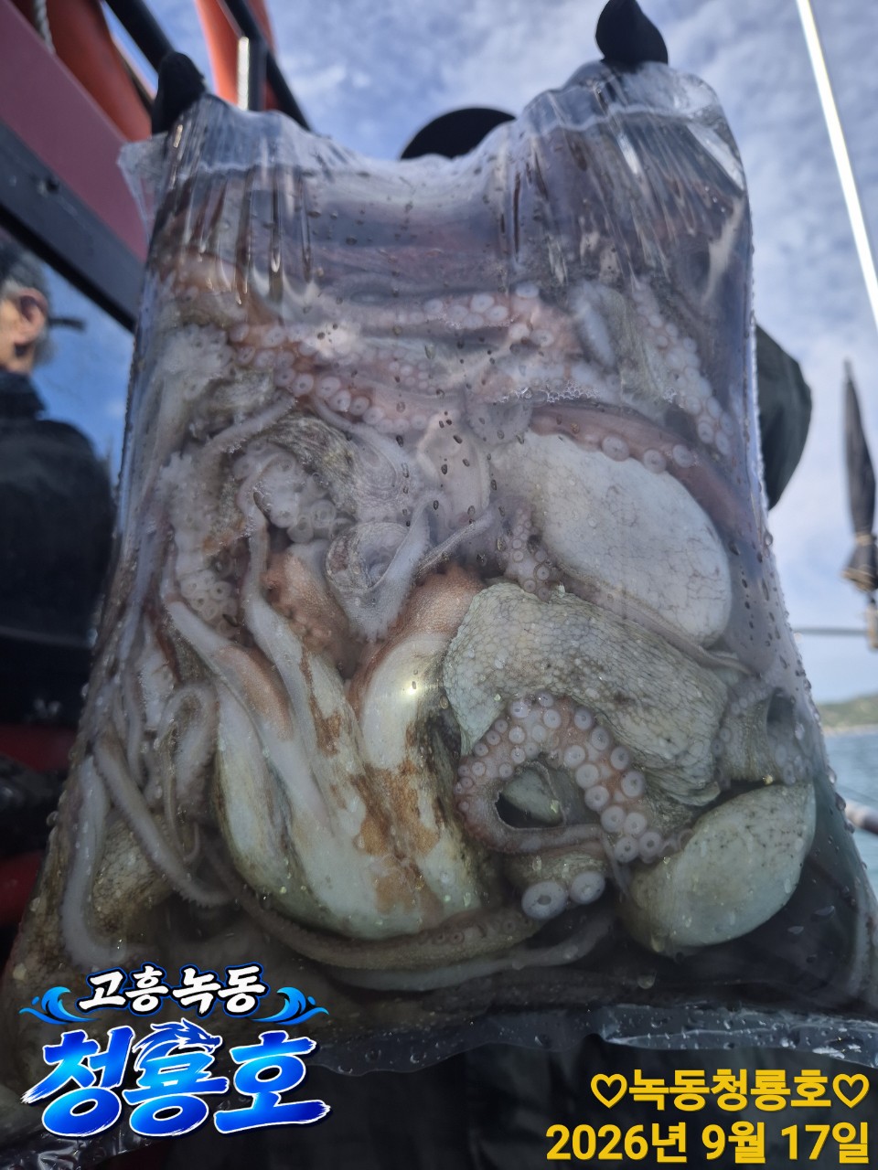 9월 17일 문어 선상낚시 조황 현장 사진 12