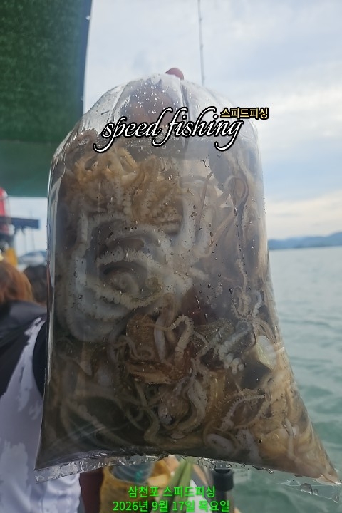 9월 17일 삼천포 주꾸미 선상낚시 조황 현장 사진 2