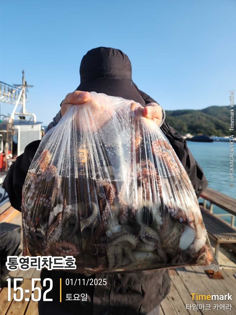9월 17일 통영 문어 선상낚시 조황 현장 사진 17
