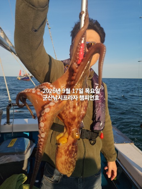 9월 17일 문어 선상낚시 조황 현장 사진 10