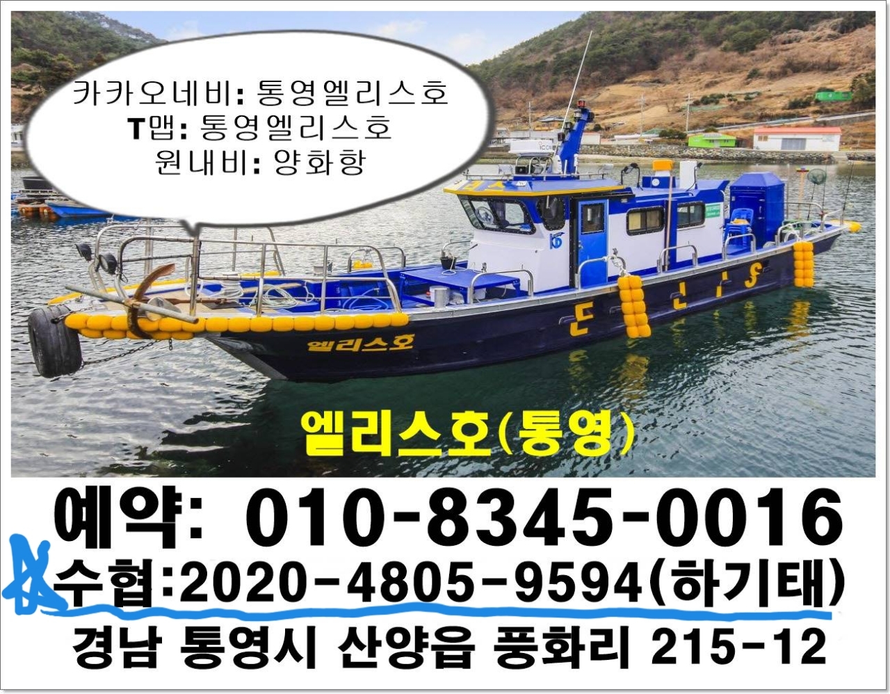 9월 17일 문어 선상낚시 조황 현장 사진 1