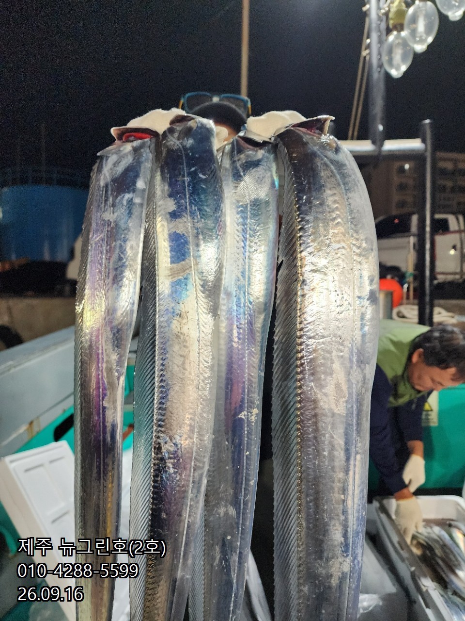 9월 16일 제주 갈치 선상낚시 조황 현장 사진 24