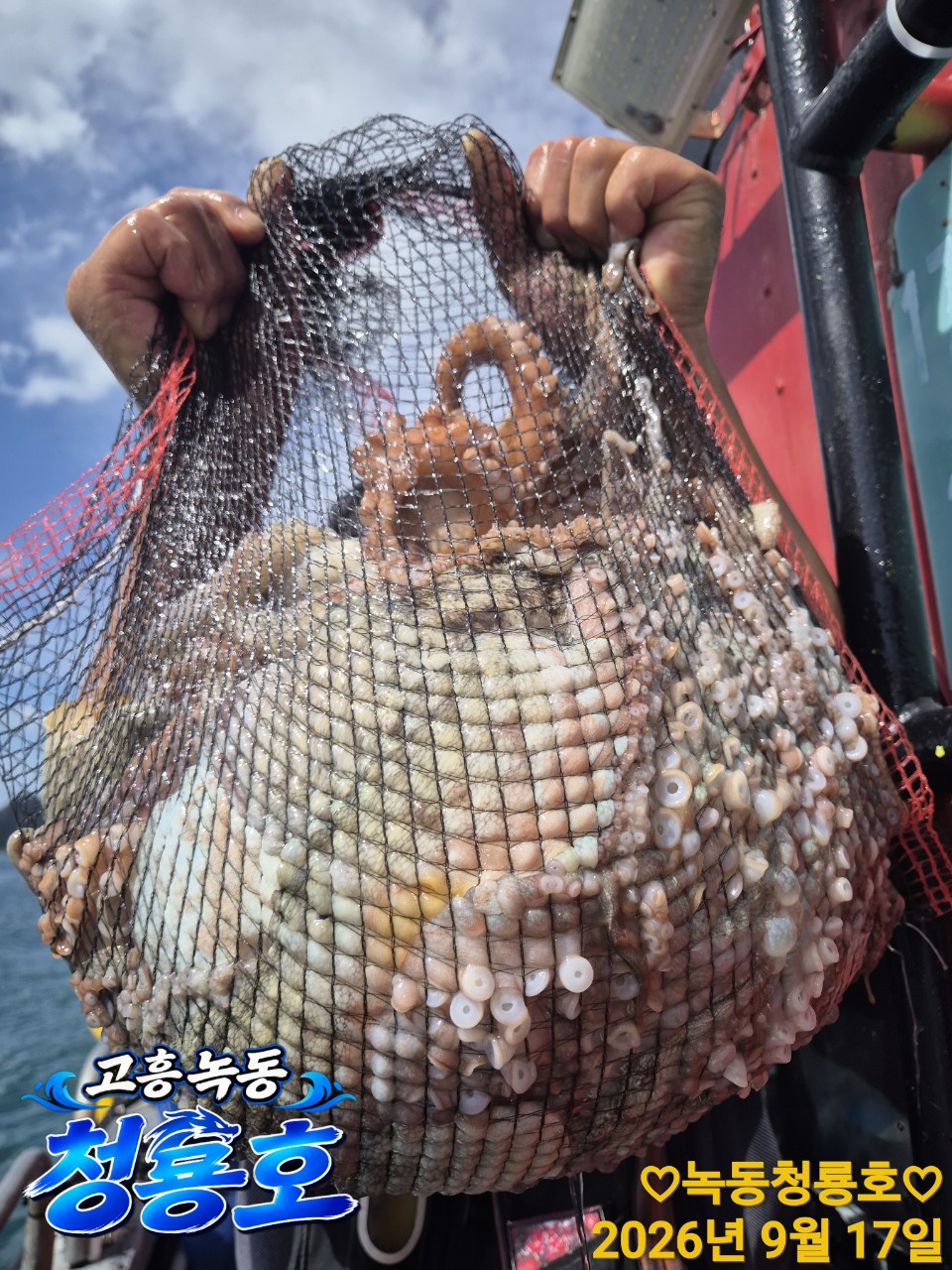 9월 17일 문어 선상낚시 조황 현장 사진 11