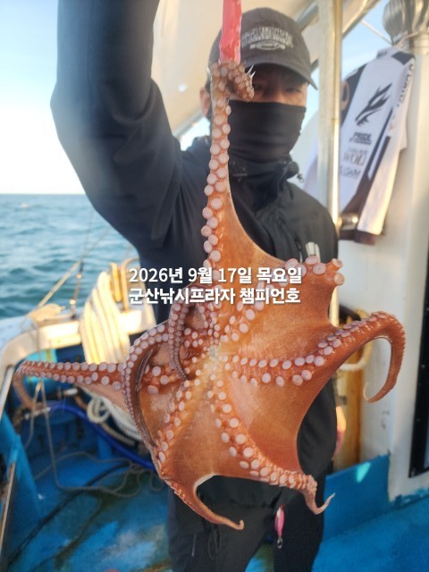 9월 17일 문어 선상낚시 조황 현장 사진 9