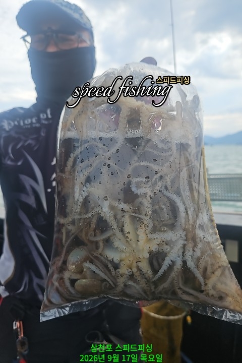9월 17일 삼천포 주꾸미 선상낚시 조황 현장 사진 6