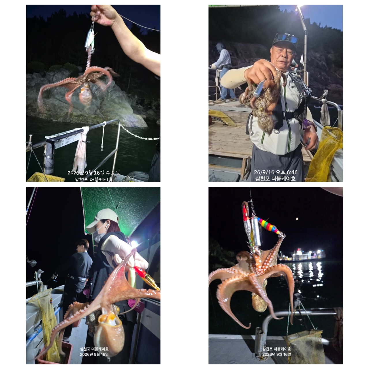 9월 16일 삼천포 문어 선상낚시 조황 현장 사진 7