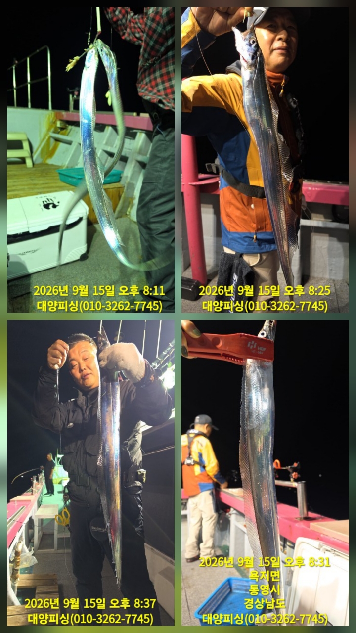 9월 17일 남해 갈치 선상낚시 조황 현장 사진 1