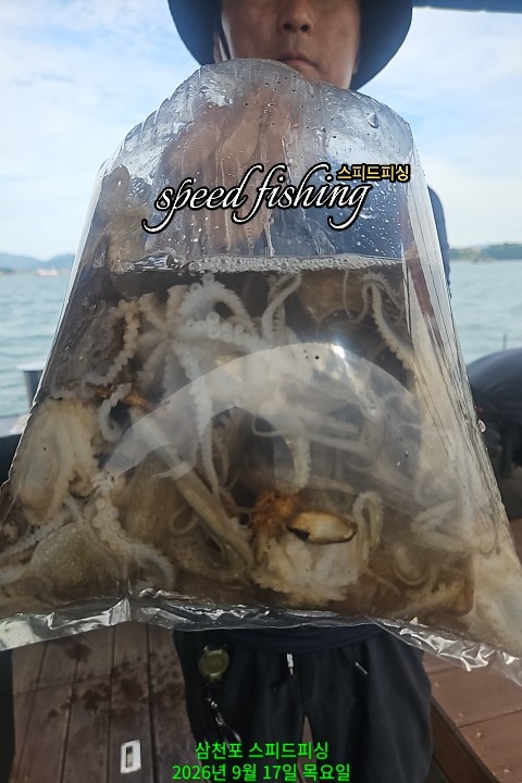 9월 17일 삼천포 주꾸미 선상낚시 조황 현장 사진 10