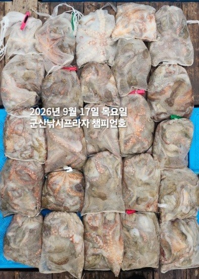 9월 17일 문어 선상낚시 조황 현장 사진 2