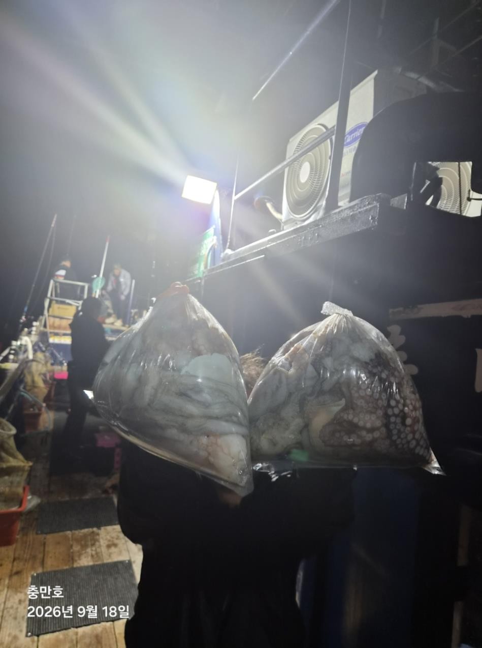 9월 17일 통영 문어 선상낚시 조황 현장 사진 6