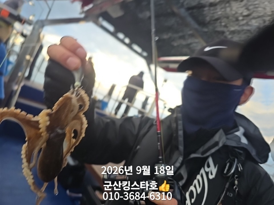 9월 18일 군산 주꾸미 선상낚시 조황 현장 사진 6
