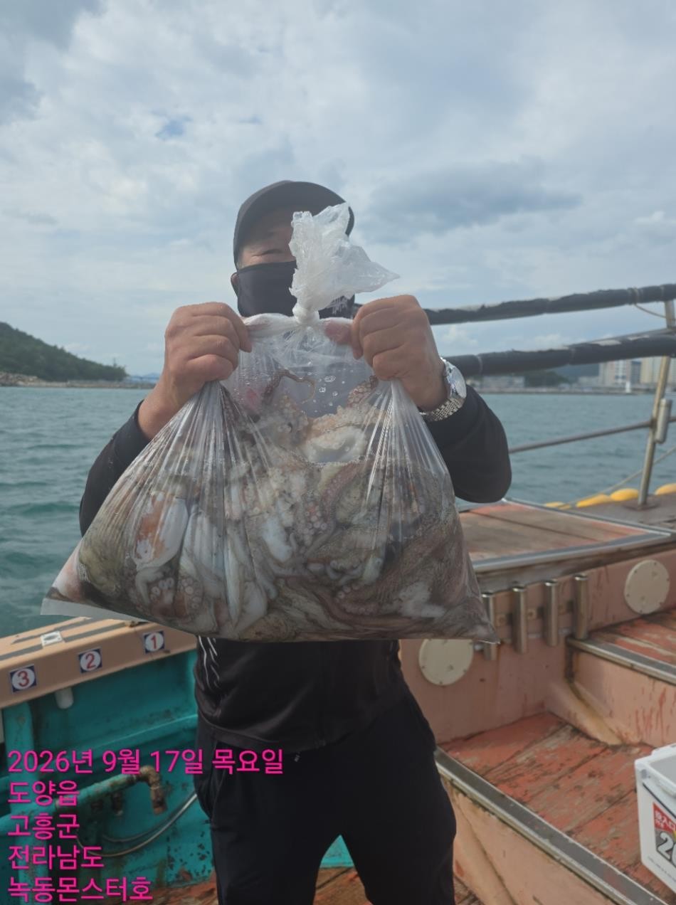 9월 17일 통영 문어 선상낚시 조황 현장 사진 3