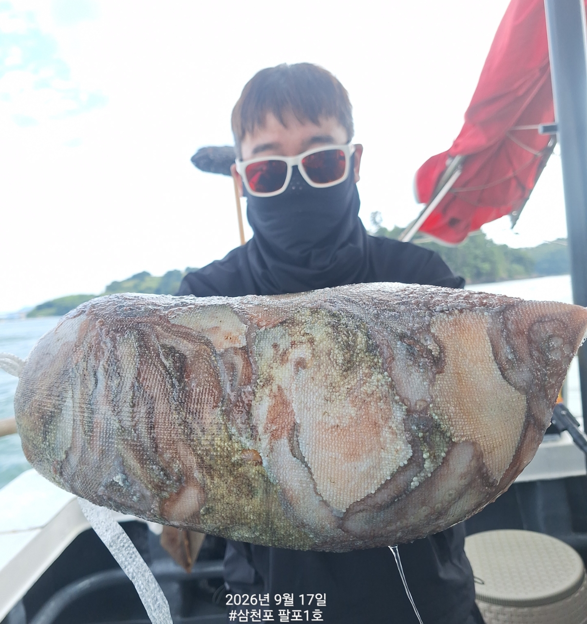 9월 17일 삼천포 문어 선상낚시 조황 현장 사진 5