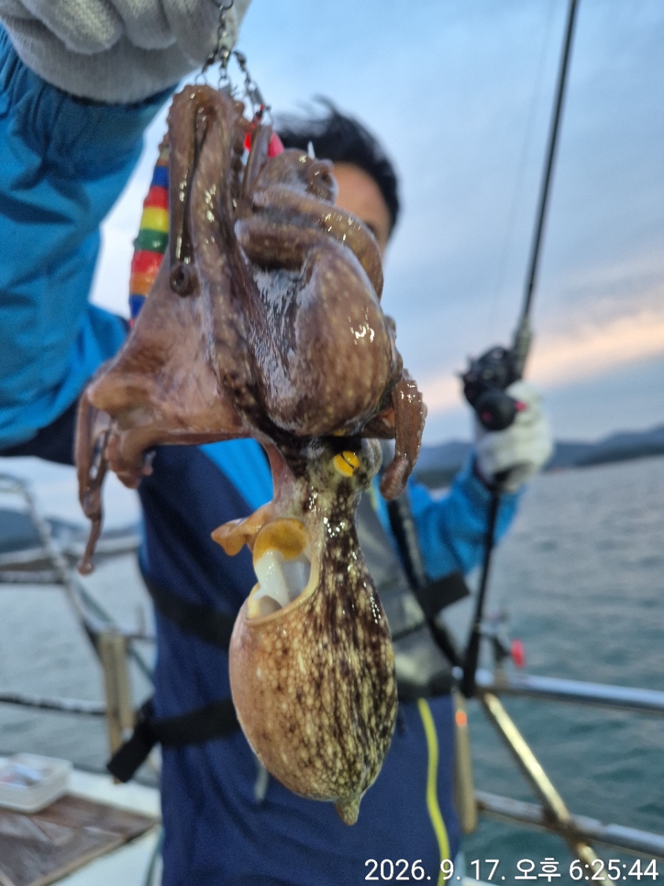 9월 17일 문어 선상낚시 조황 현장 사진 1