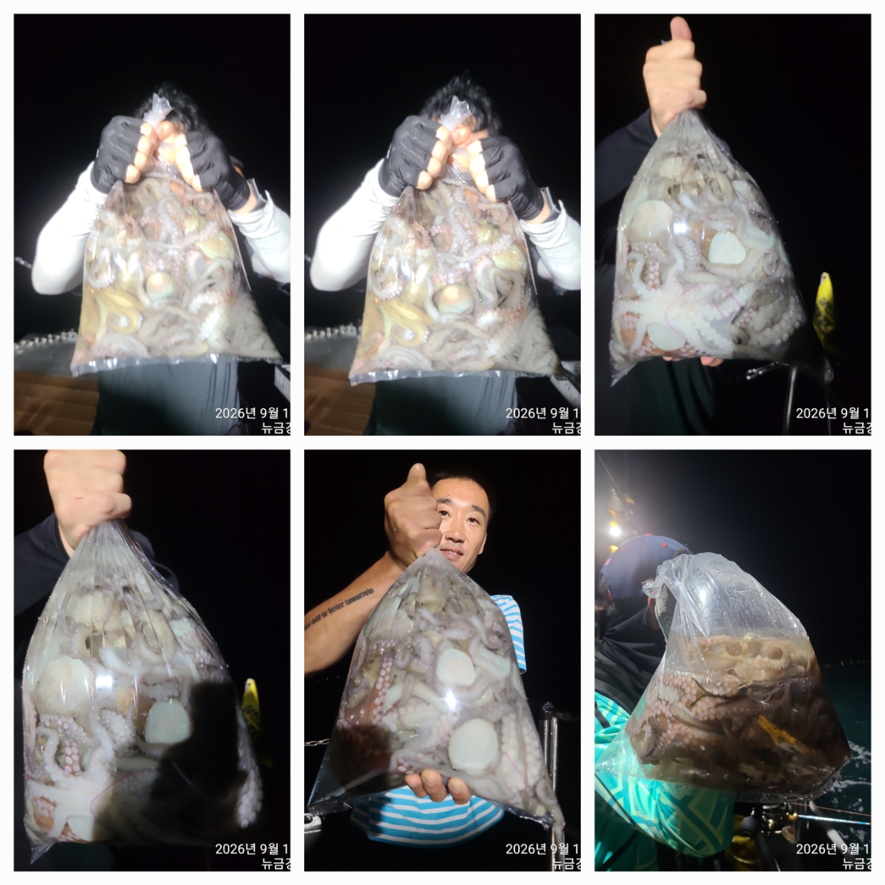 9월 17일 문어 선상낚시 조황 현장 사진 1