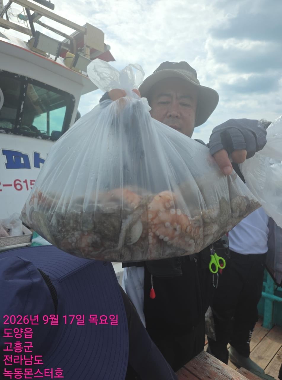 9월 17일 통영 문어 선상낚시 조황 현장 사진 6
